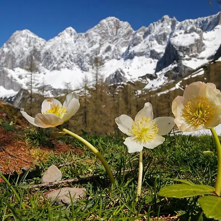 Appartementhaus Finis