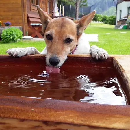 Appartementhaus Finis *