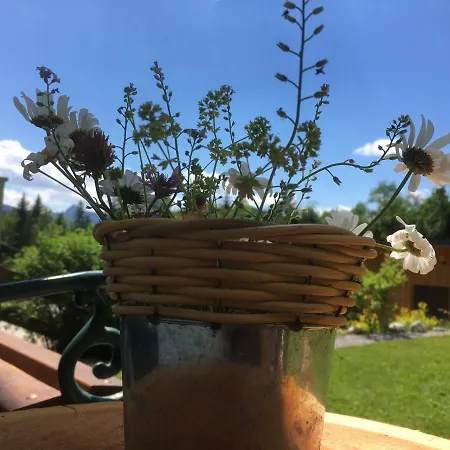 Appartementhaus Finis Apartman *