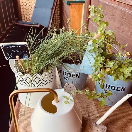 Appartementhaus Finis