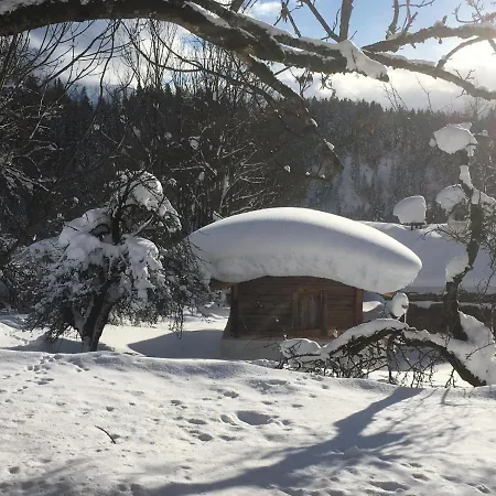 Appartementhaus Finis Apartman Ramsau am Dachstein