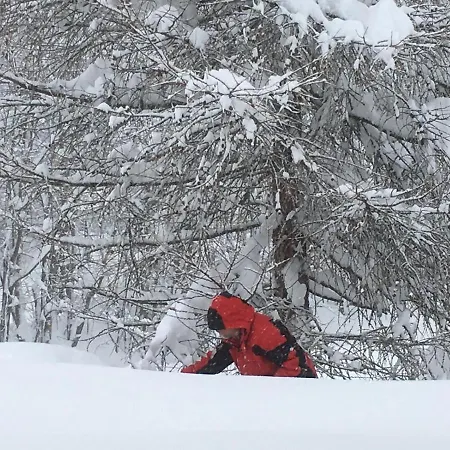 Apartment Appartementhaus Finis