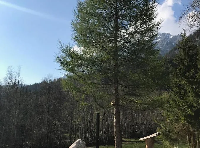 Appartementhaus Finis Apartman Ramsau am Dachstein