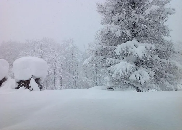 Appartementhaus Finis * Ramsau am Dachstein