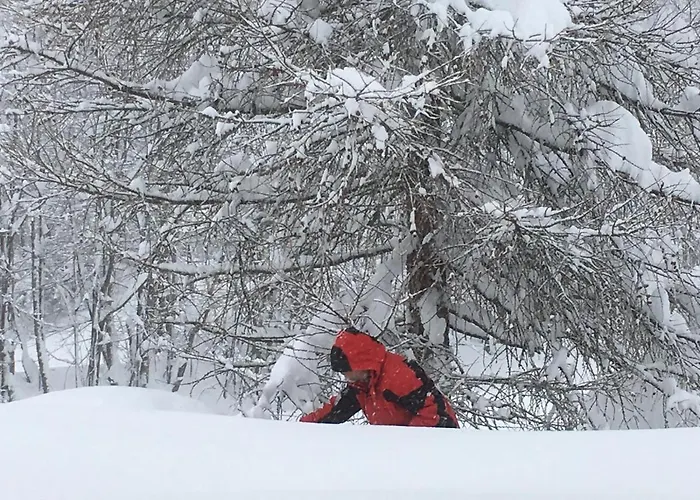 Apartman Appartementhaus Finis